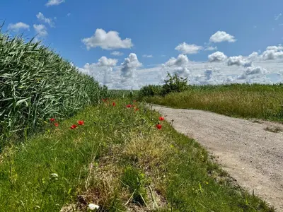 Naturlandschaft in der Nähe der Ferienwohnung