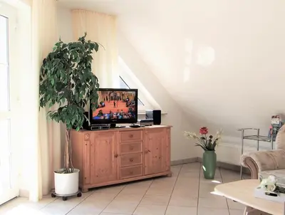 TV/Unterhaltungsangebot in der Unterkunft Birkmaase 14 - Komfort FeWo im 4-Sterne-Ferienhaus Anselm DG