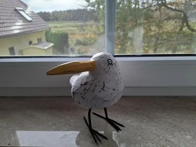 Tiere im Ferienhaus oder in der Nähe