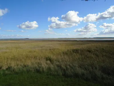 Naturlandschaft in der Nähe der Ferienwohnung