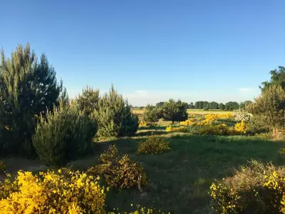 Naturlandschaft in der Nähe des Ferienhauses