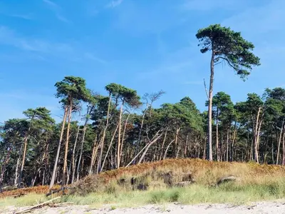 Naturlandschaft in der Nähe der Ferienwohnung