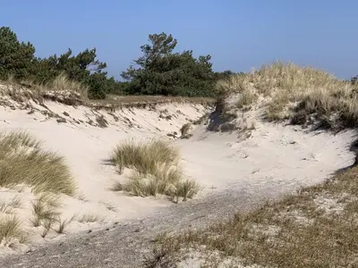 Naturlandschaft in der Nähe des Ferienhauses