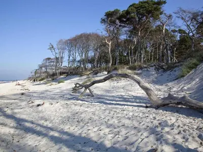 Naturlandschaft in der Nähe des Ferienhauses