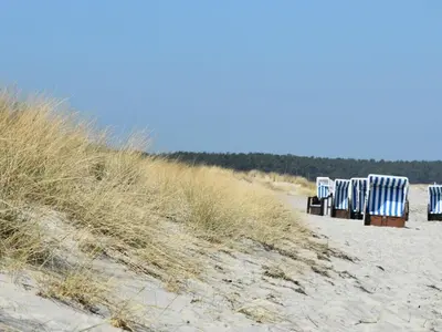 Naturlandschaft in der Nähe des Ferienhauses