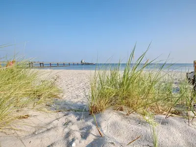 Naturlandschaft in der Nähe des Ferienhauses