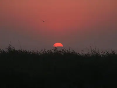 Blick auf den Sonnenuntergang/Sonnenaufgang von des Ferienhauses aus oder aus der Nähe