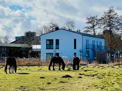 Gäste, die in der Unterkunft Koje Lütt Kirr übernachten