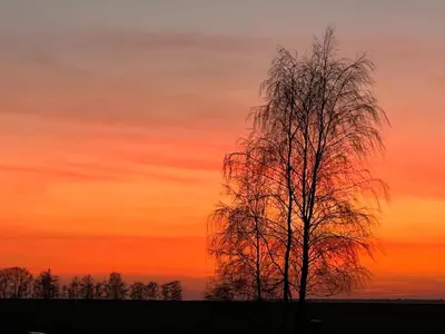 Blick auf den Sonnenuntergang/Sonnenaufgang von der Ferienwohnung aus oder aus der Nähe
