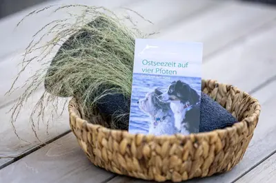 Grundriss der Unterkunft Ventus