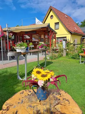 Ein Garten an der Unterkunft Karinas Apartment