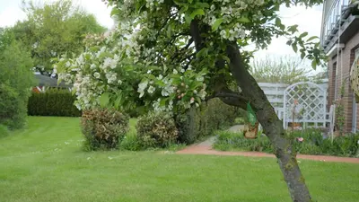 Ein Garten an der Unterkunft Ferienwohnung III