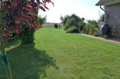 Ein Garten an der Unterkunft Ferienwohnung III