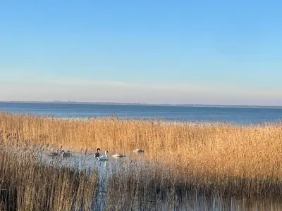 Naturlandschaft in der Nähe des Ferienhauses