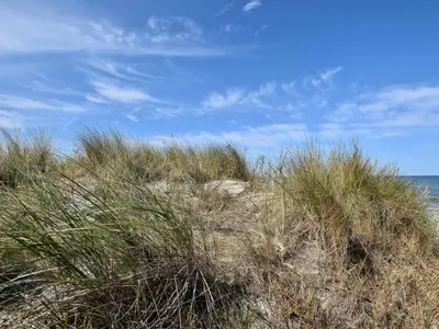 Naturlandschaft in der Nähe der Ferienwohnung