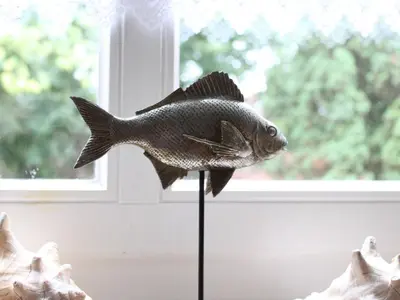 Tiere in der Ferienwohnung oder in der Nähe