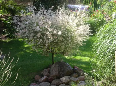 Ein Garten an der Unterkunft Jagdhaus 1 EG