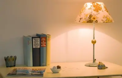 Die Bibliothek im Ferienhaus