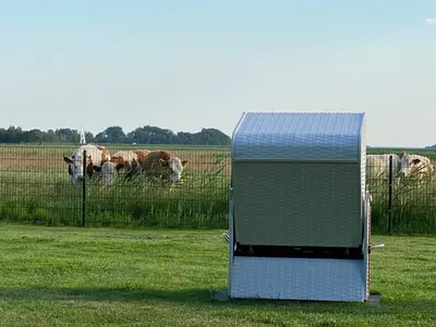 Tiere in der Ferienwohnung oder in der Nähe
