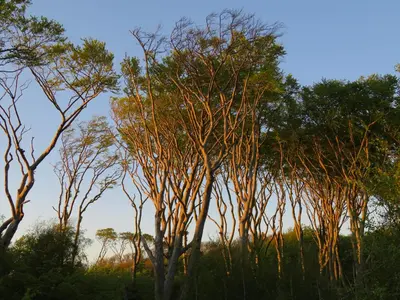 Naturlandschaft in der Nähe der Ferienwohnung
