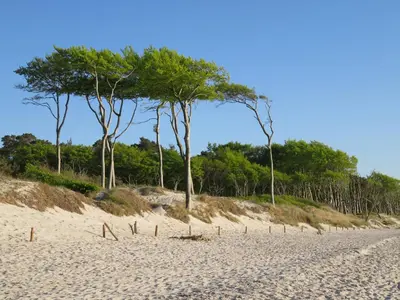 Naturlandschaft in der Nähe der Ferienwohnung