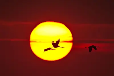 Blick auf den Sonnenuntergang/Sonnenaufgang von der Ferienwohnung aus oder aus der Nähe