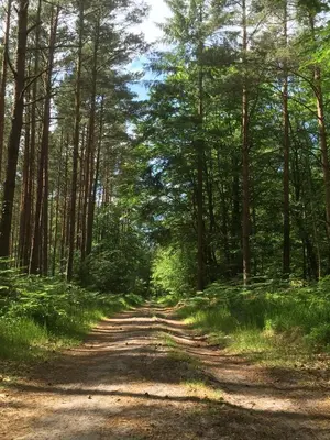 Naturlandschaft in der Nähe des Ferienhauses