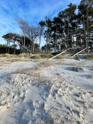 Naturlandschaft in der Nähe der Ferienwohnung