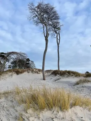 Naturlandschaft in der Nähe der Ferienwohnung
