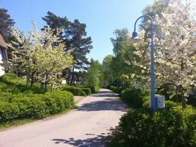 Ein Garten an der Unterkunft FeWo Sonnenblume Achtern Diek