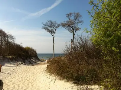 Naturlandschaft in der Nähe der Ferienwohnung