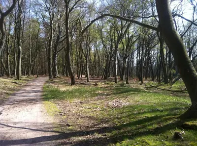 Naturlandschaft in der Nähe der Ferienwohnung