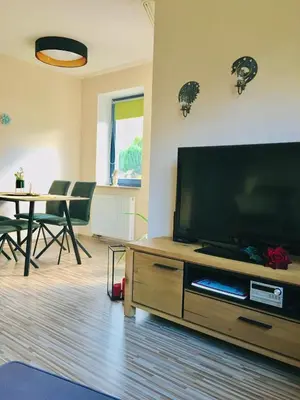 TV/Unterhaltungsangebot in der Unterkunft Haus Rose