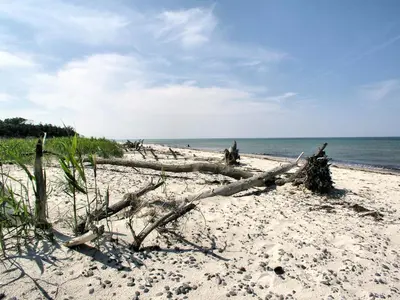 Naturlandschaft in der Nähe des Hotels