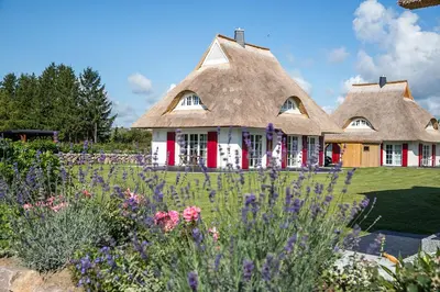 Ein Garten an der Unterkunft Ferienhaus Haubenlerche 62