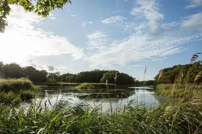 Naturlandschaft in der Nähe des Ferienhauses