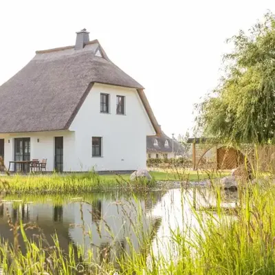 Ferienhaus Seeschwalbe 37
