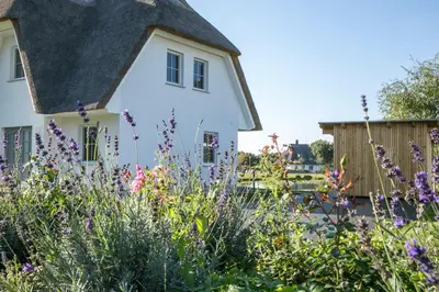 Ein Garten an der Unterkunft Ferienhaus Seeschwalbe 60