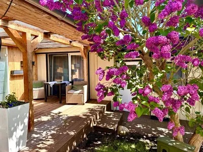 Ein Garten an der Unterkunft Haus auf der alten Düne
