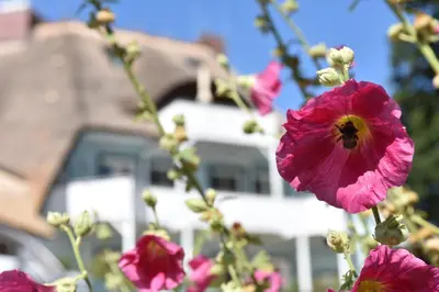Ein Garten an der Unterkunft Romantik Hotel Fischerwiege