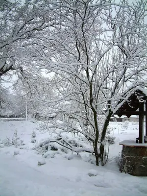 Haus Jasmin im Winter
