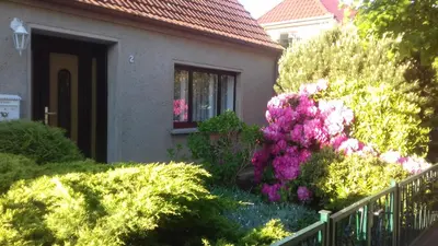Ein Garten an der Unterkunft Ferienwohnung in Boddennähe