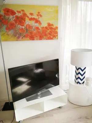 TV/Unterhaltungsangebot in der Unterkunft Gartenblick