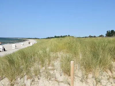 Naturlandschaft in der Nähe der Ferienwohnung