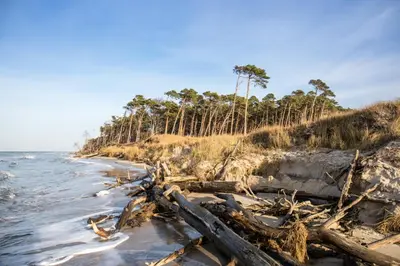 Naturlandschaft in der Nähe des Ferienhauses