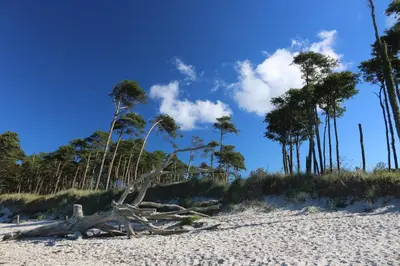 Naturlandschaft in der Nähe der Ferienwohnung