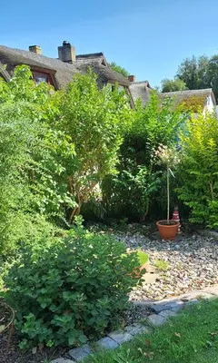 Ein Garten an der Unterkunft Boddenpieper