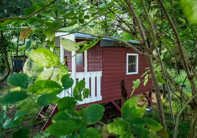 Ein Garten an der Unterkunft Sina
