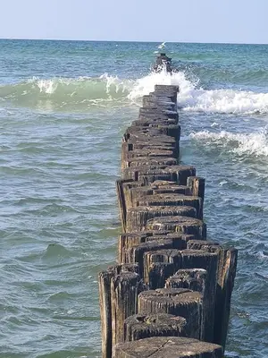 Naturlandschaft in der Nähe des Ferienhauses