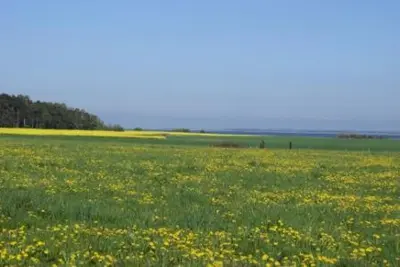 Naturlandschaft in der Nähe der Ferienwohnung